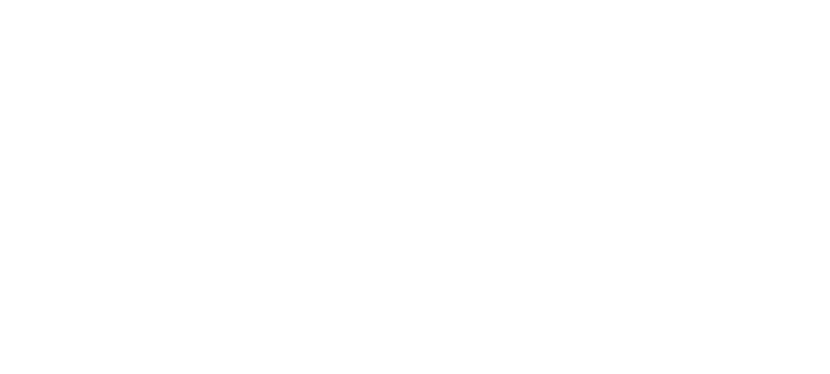 Foley Lapointe & Associés